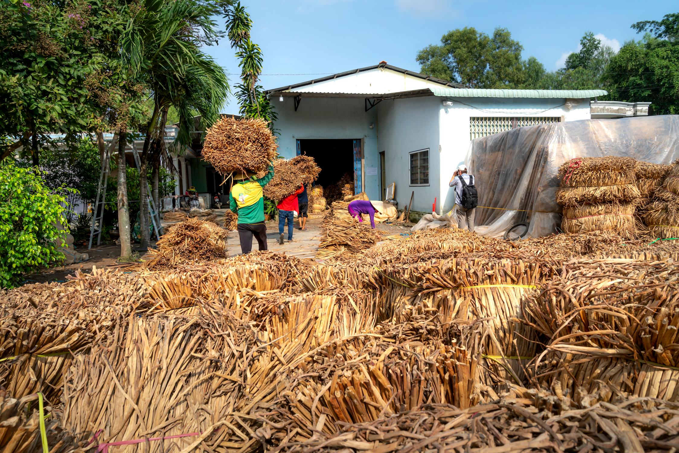 From Farm to Market: How to Start a Food Processing Business in Nigeria